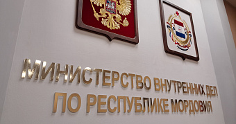 Нервного мужчину в Саранске оштрафовали на 25 тысяч рублей 