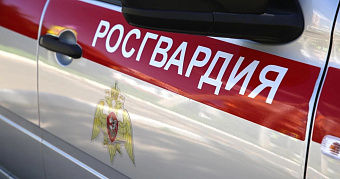 Молодой житель Саранска подрался с припаркованной машиной 