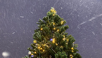 Жители Саранска могут побывать «В гостях у матушки Зимы» на новогодних каникулах 