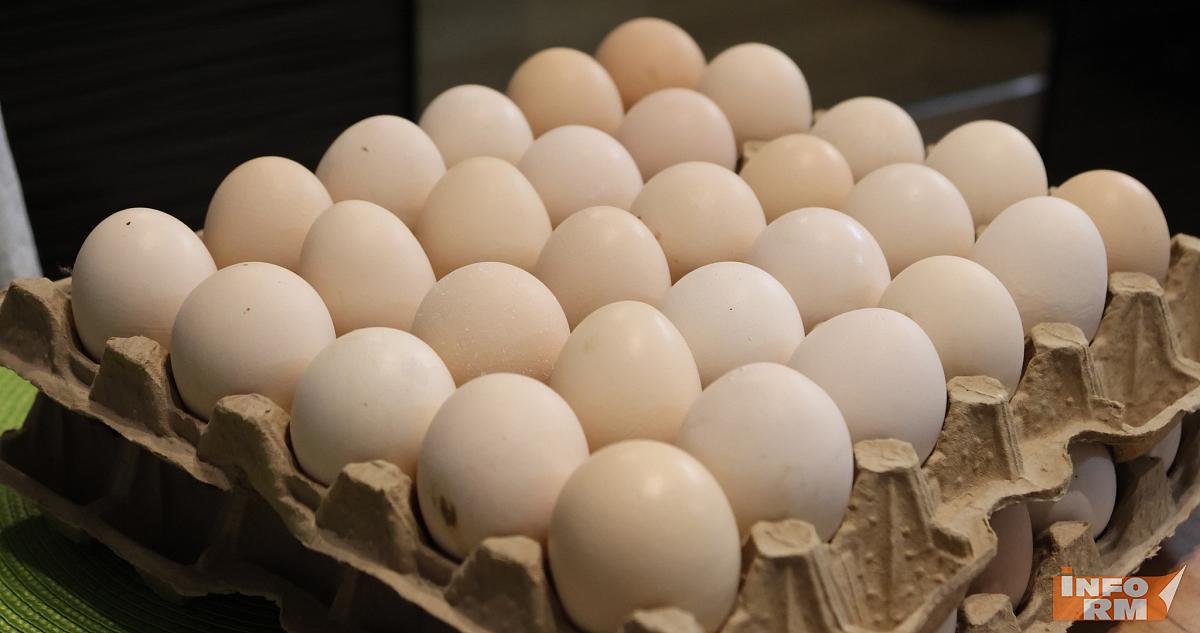 Остриём вниз и не мыть: названы топ-5 правил хранения яиц 