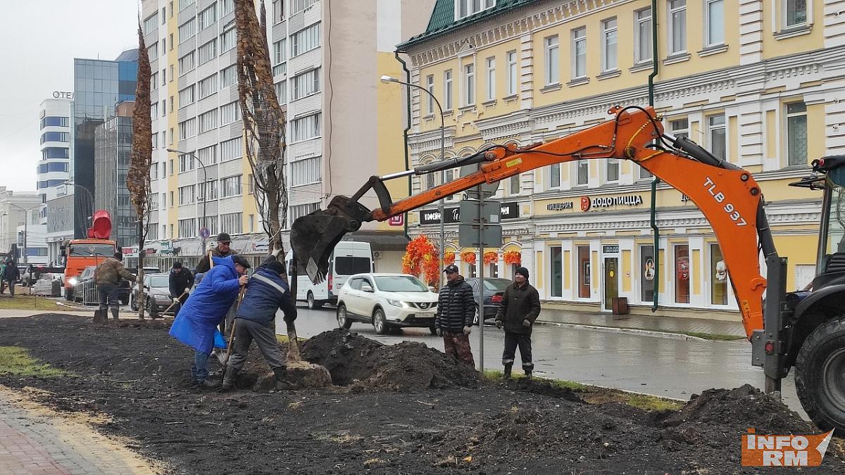 В Саранске на Соборной площади начали высаживать 6-метровые липы  В Саранске на Соборной площади начали высаживать 6-метровые липы
