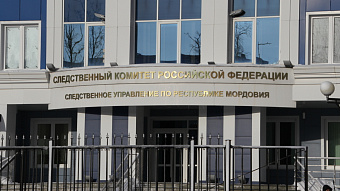 Жительница Мордовии прикинулась нищим парикмахером ради 350 тысяч рублей 