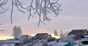 Где в России можно увидеть северное сияние: прогноз эксперта 