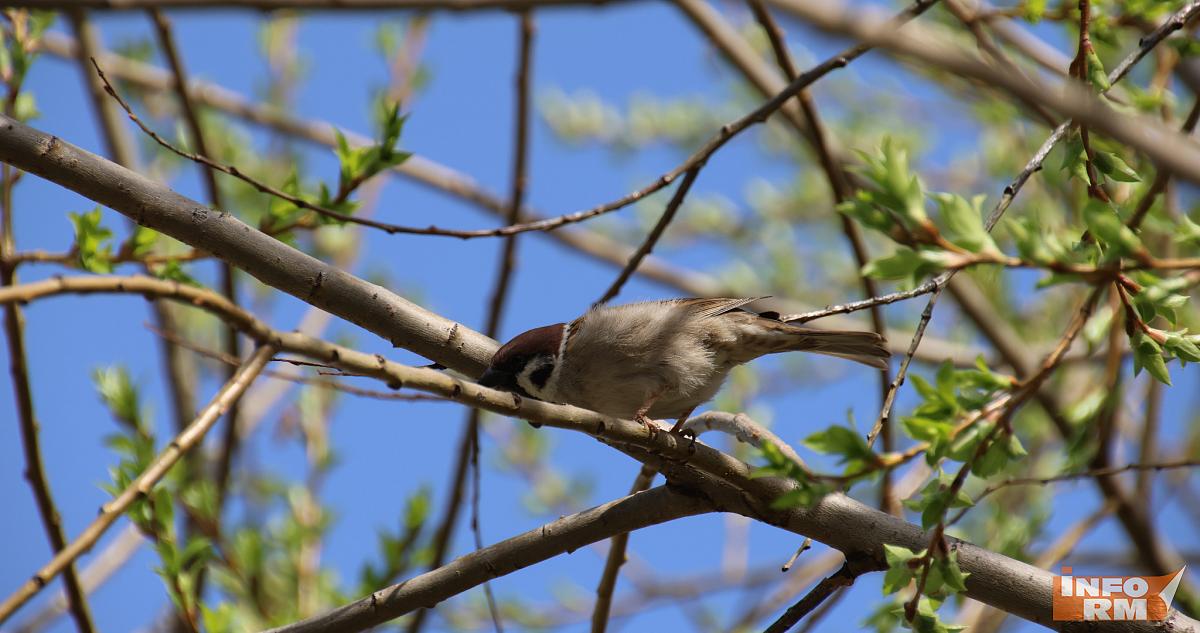 Синоптик рассказал, когда в 2026 году придёт весна 