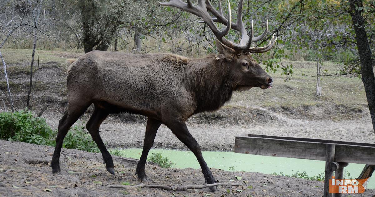В развитие туризма в Мордовии вложили почти 100 миллионов рублей 