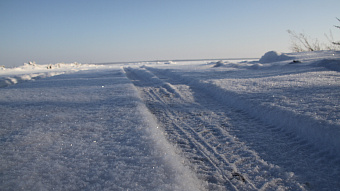 В районах Мордовии из-за мороза школьников перевели на дистанционку
