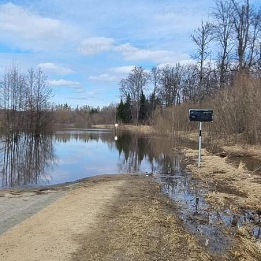 В Мордовии затоплены 6 низководных мостов и 6 автодорог