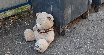 Вывоз мусора: жителям Мордовии озвучили условия и сроки 