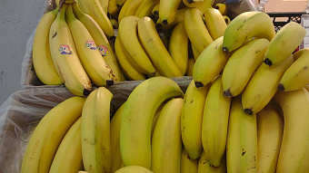 В Мордовии подорожали яйца и подешевели фрукты 