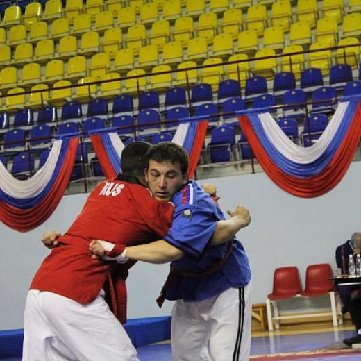 В Мордовии выявили лучших борцов России на поясах
