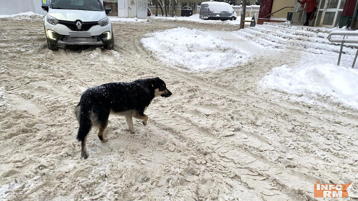В Мордовии – сильный снег и гололедица