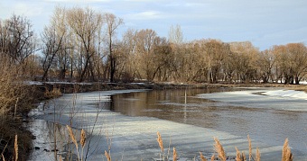 Синоптики рассказали, когда в Мордовию придёт весна 