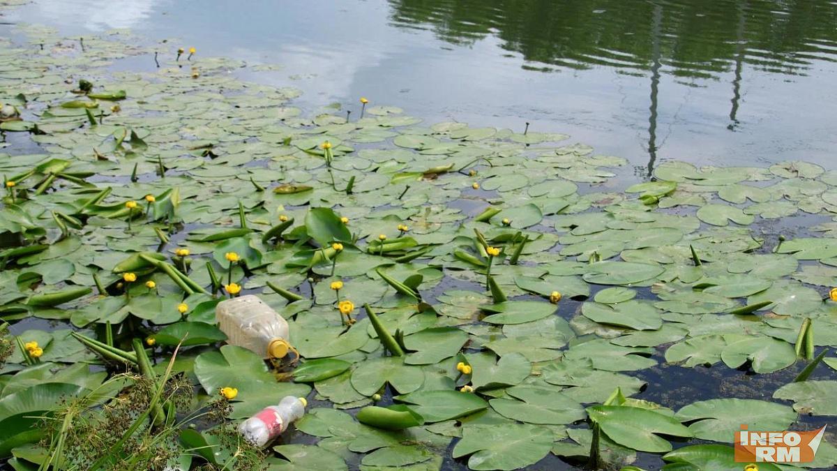Мордовские школьники могут пройти обучение в «Зелёной школе»