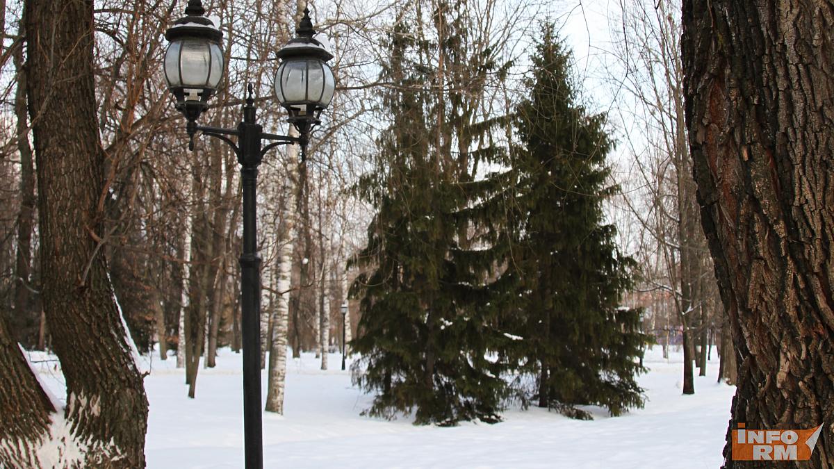 Жителям Мордовии новогодняя ёлка может обойтись в 700 тысяч рублей