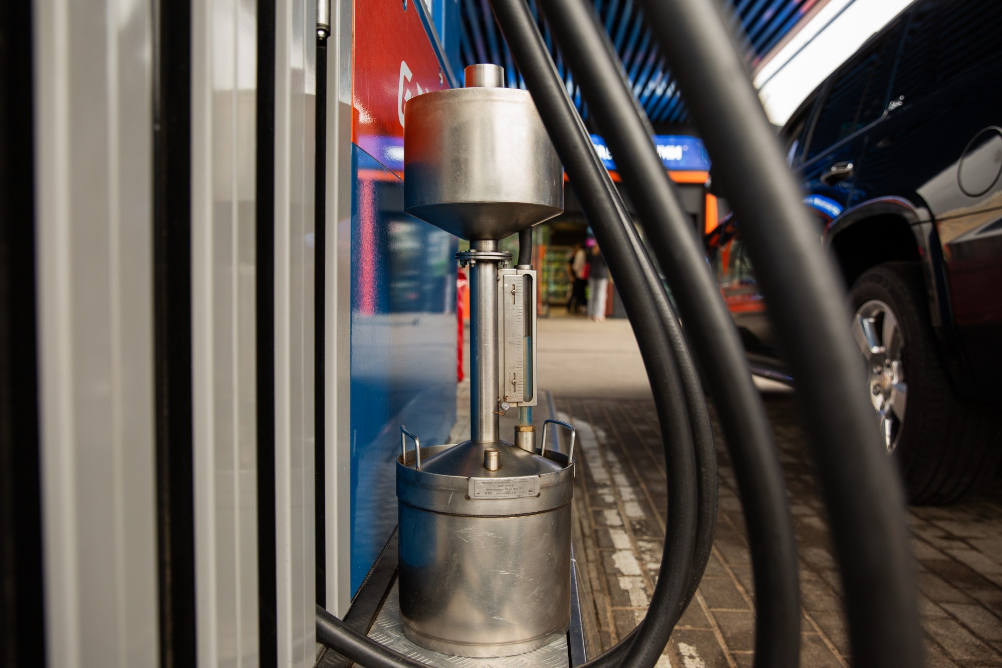 Фото: Мария Андреева