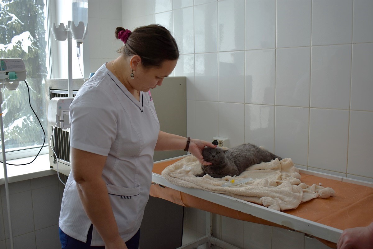 Фото: Государственный комитет по ветеринарии РМ