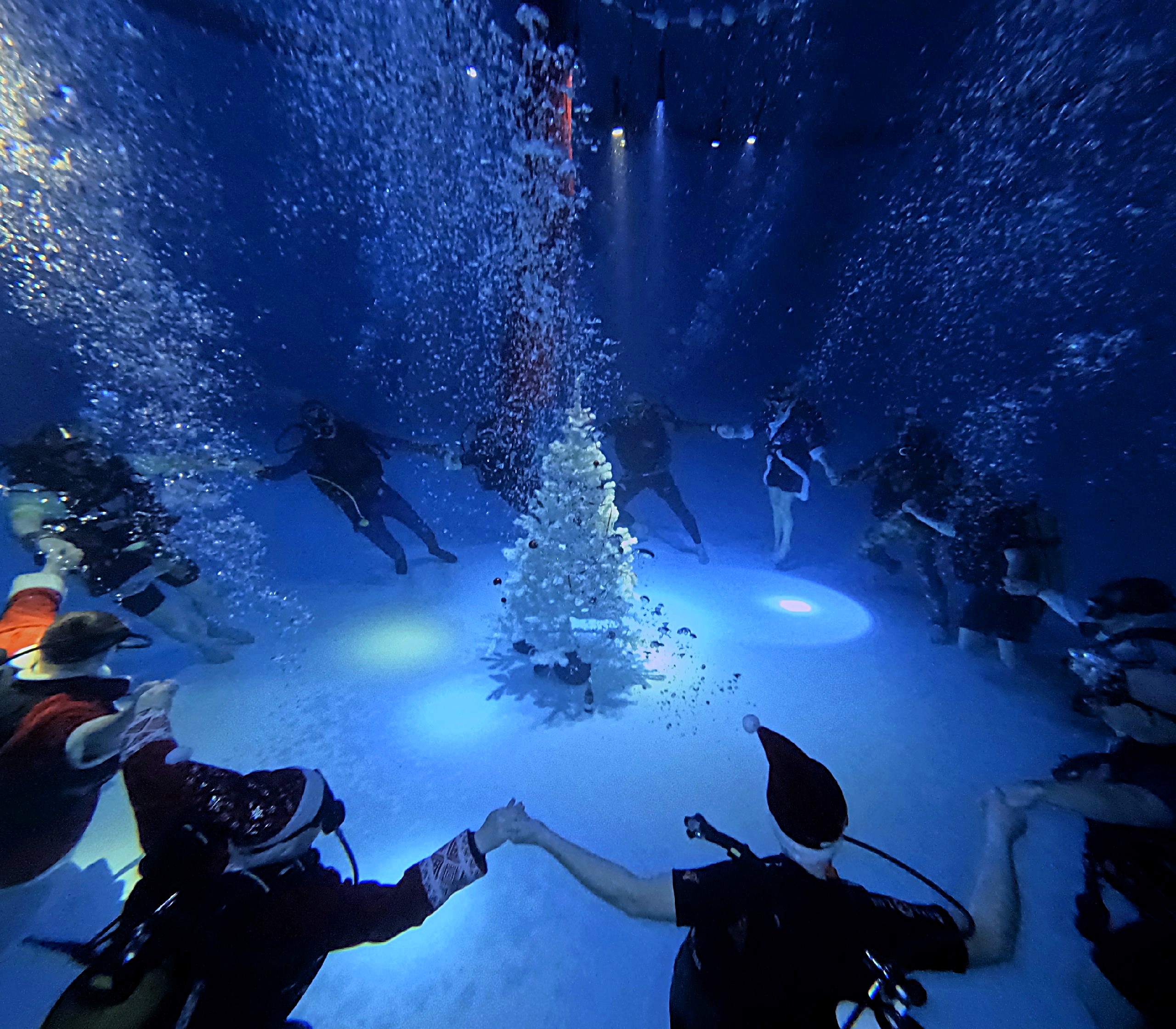 Фото: Divefox club Фото: Divefox club